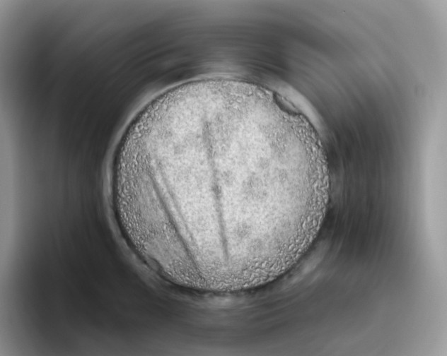 X0000093501099200711091658