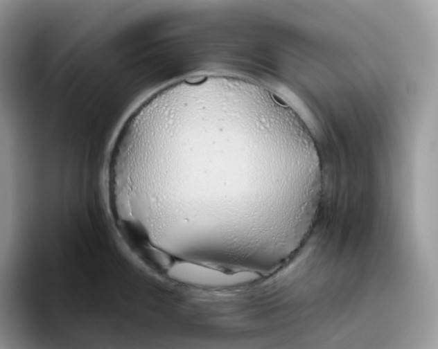 X0000093501100200711091658