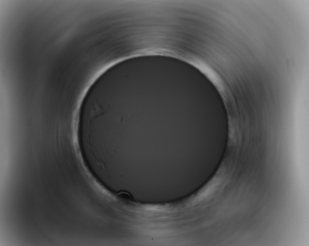 X0000093501102200711091658