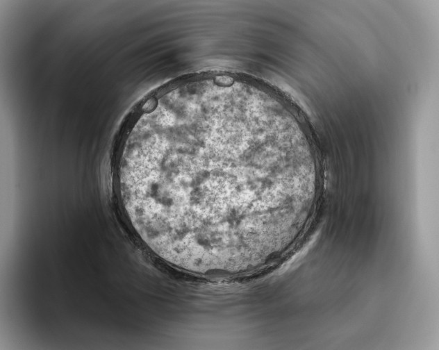 X0000093501117200711091658