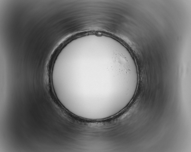 X0000093501118200711091658