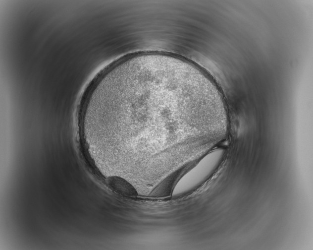 X0000093501120200711091658