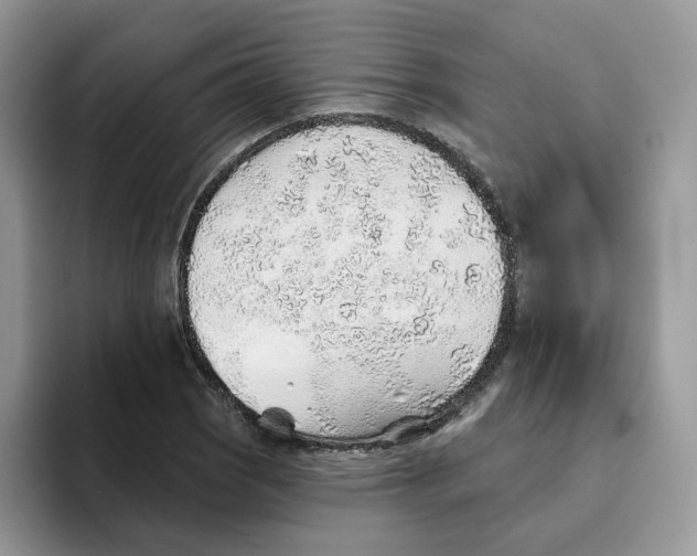 X0000093501121200711091658