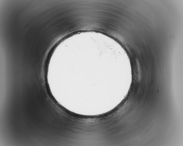 X0000093501122200711091658