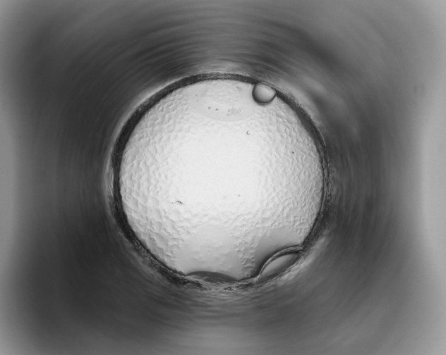 X0000093501125200711091658