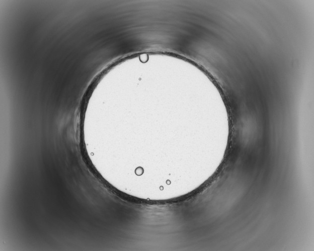 X0000093501126200711091658