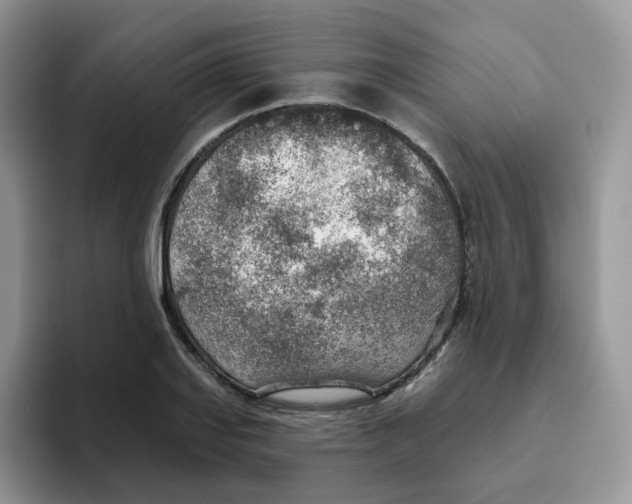 X0000093501127200711091658