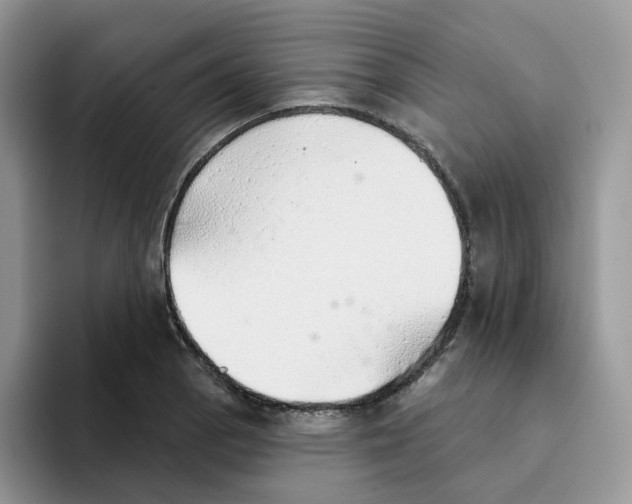 X0000093501129200711091658