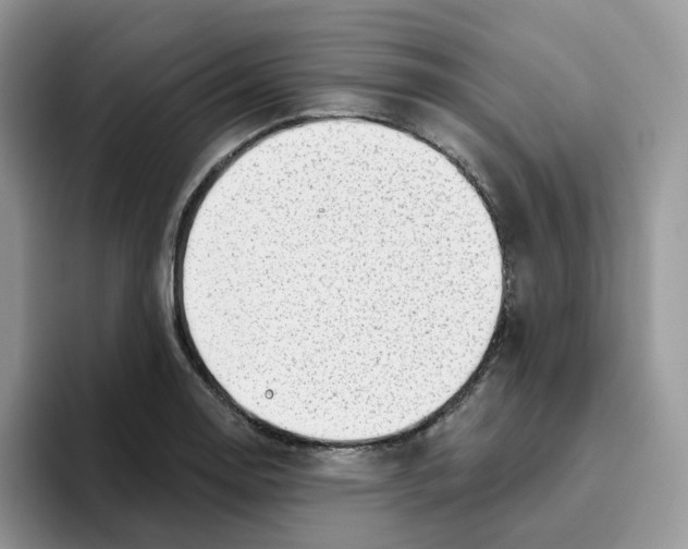 X0000093501130200711091658