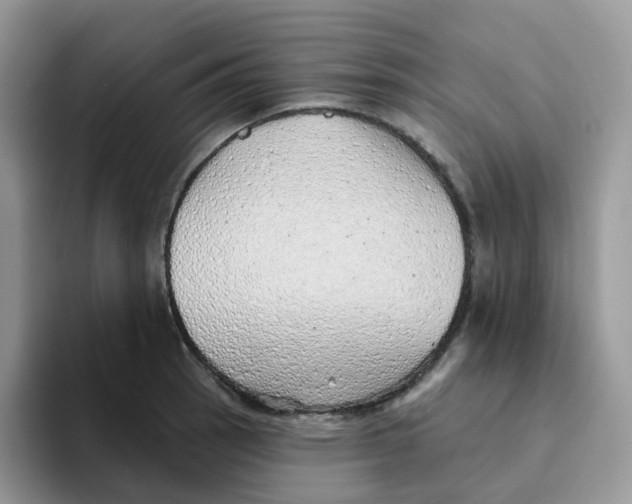 X0000093501137200711091658