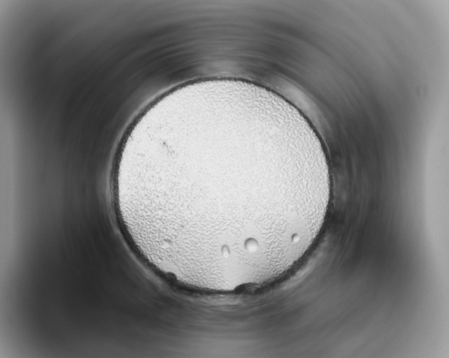 X0000093501141200711091658
