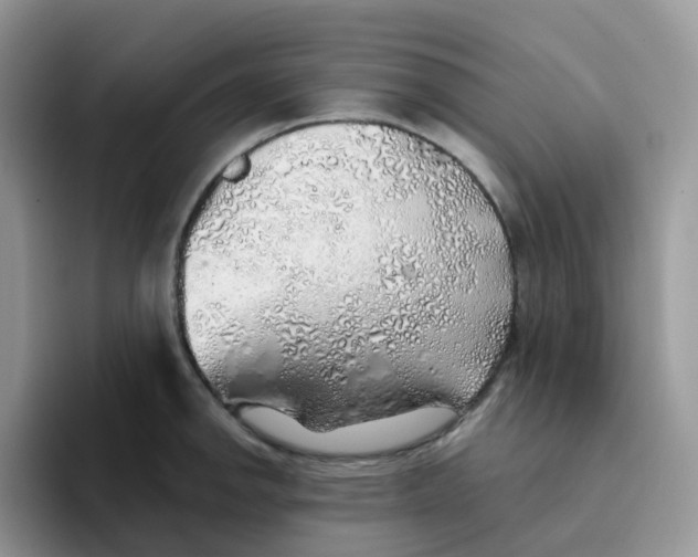 X0000093501142200711091658