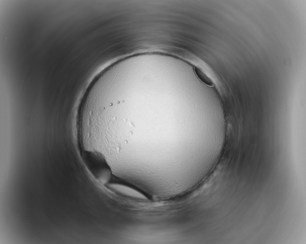X0000093501143200711091658