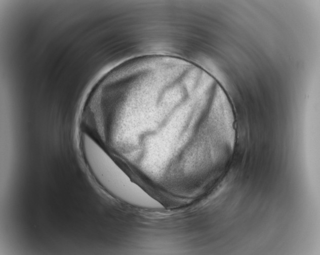 X0000093501144200711091658