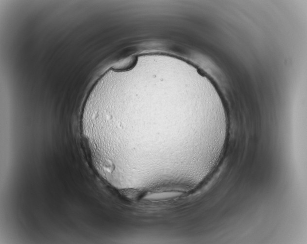 X0000093501145200711091658