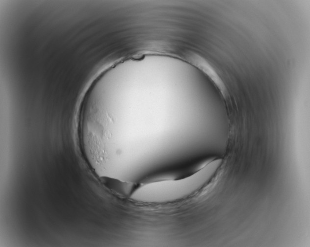 X0000093501146200711091658