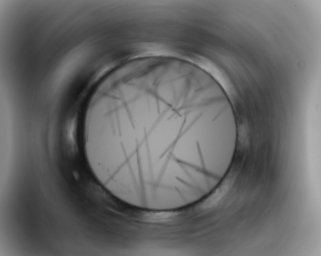 X0000093501150200711091658