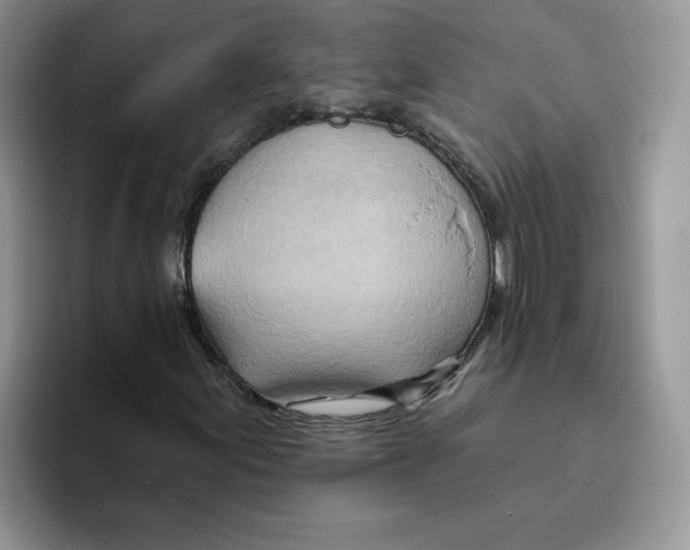 X0000093501155200711091658