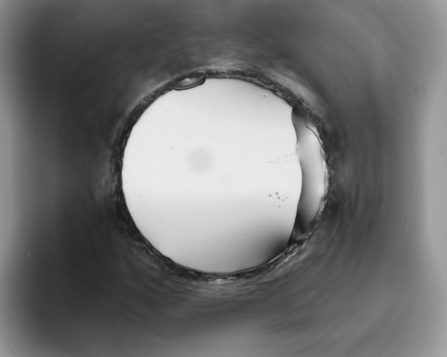 X0000093501160200711091658
