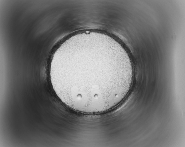 X0000093501163200711091657