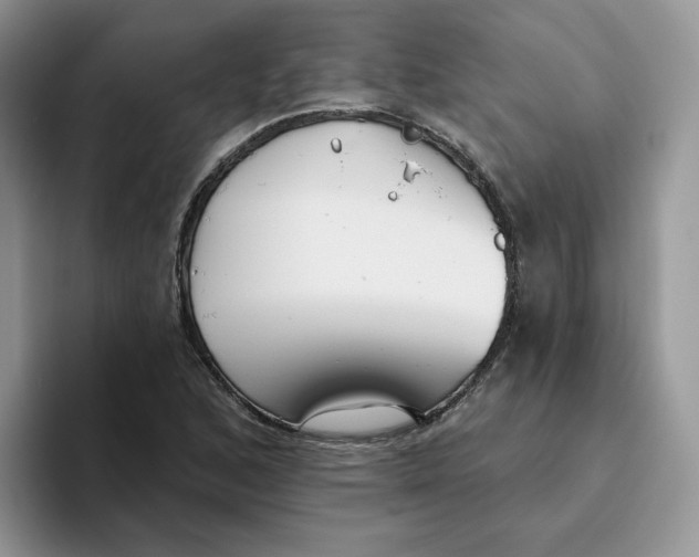 X0000093501168200711091657