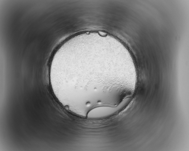 X0000093501171200711091657