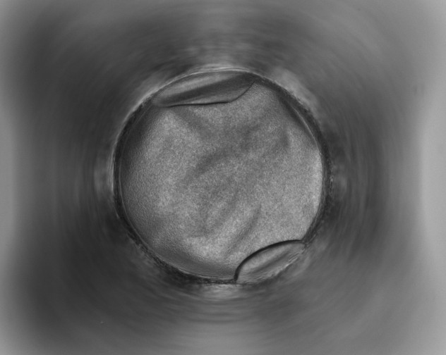 X0000093501173200711091657
