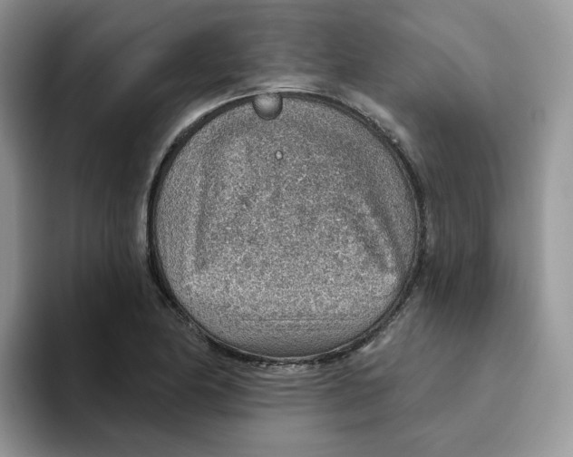 X0000093501174200711091657