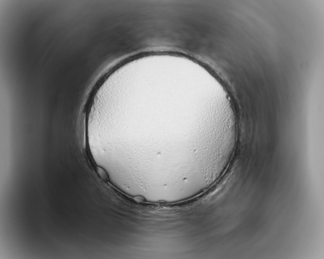 X0000093501175200711091657