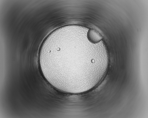 X0000093501178200711091657