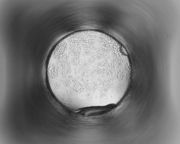 X0000093501179200711091657