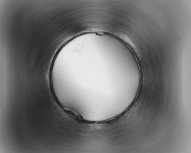 X0000093501181200711091657