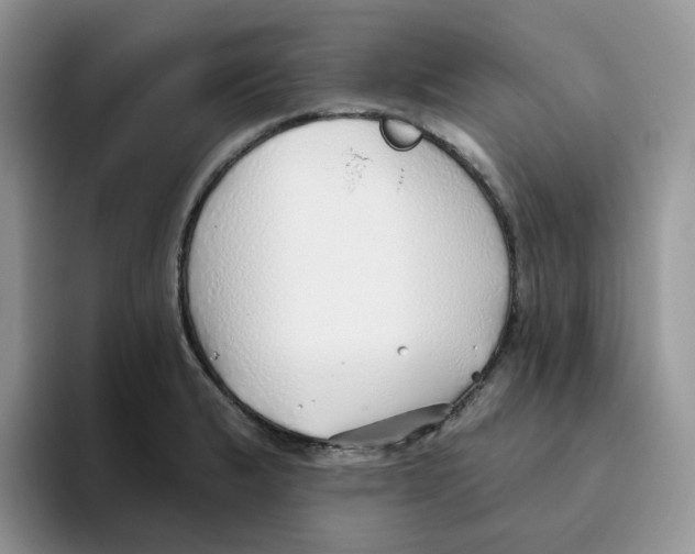 X0000093501183200711091657