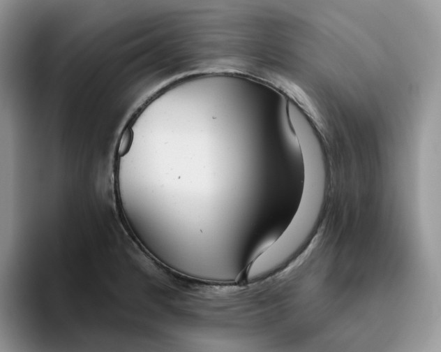 X0000093501184200711091657