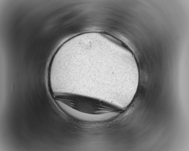 X0000093501187200711091657