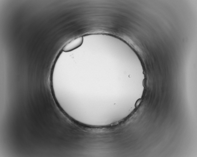 X0000093501189200711091657