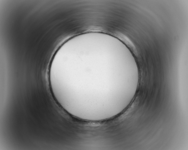 X0000093501190200711091657