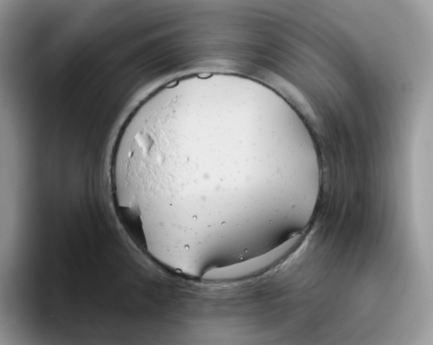 X0000093501192200711091657