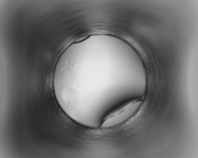 X0000093501193200711091657