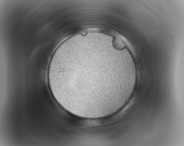 X0000093501194200711091657