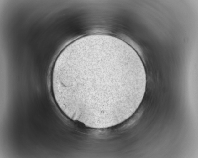 X0000093501195200711091657