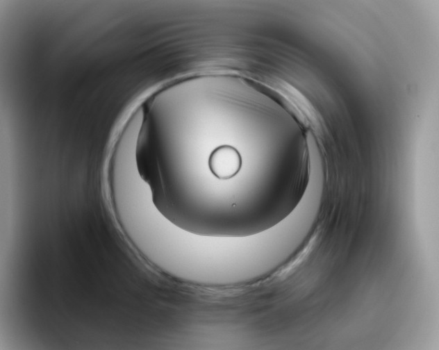 X0000093501196200711091657