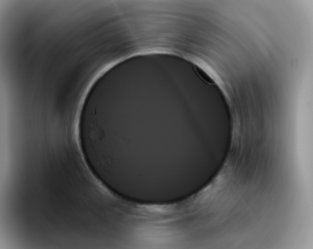 X0000093501197200711091657