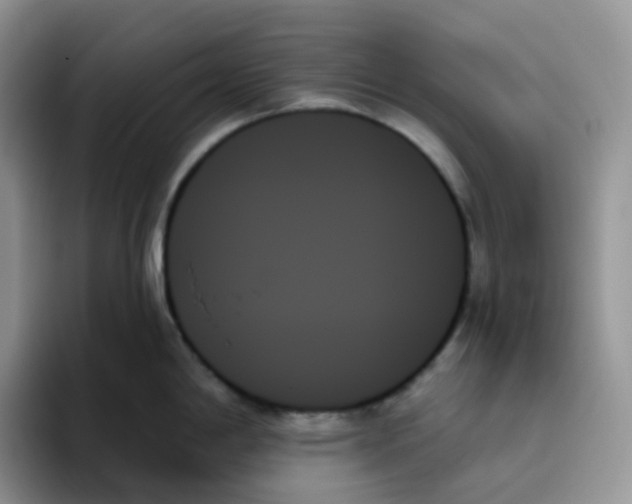 X0000093501198200711091657