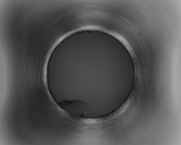 X0000093501199200711091657