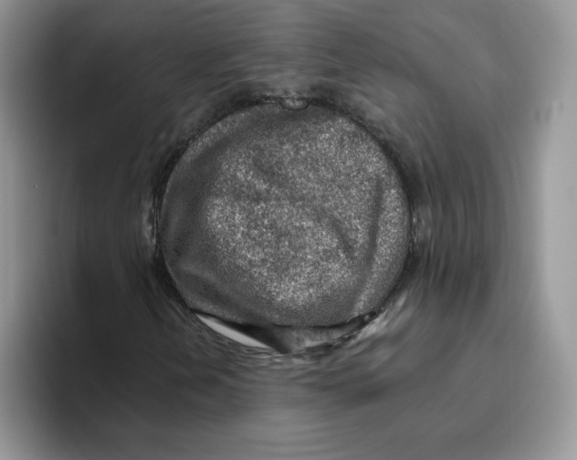 X0000093501202200711091657