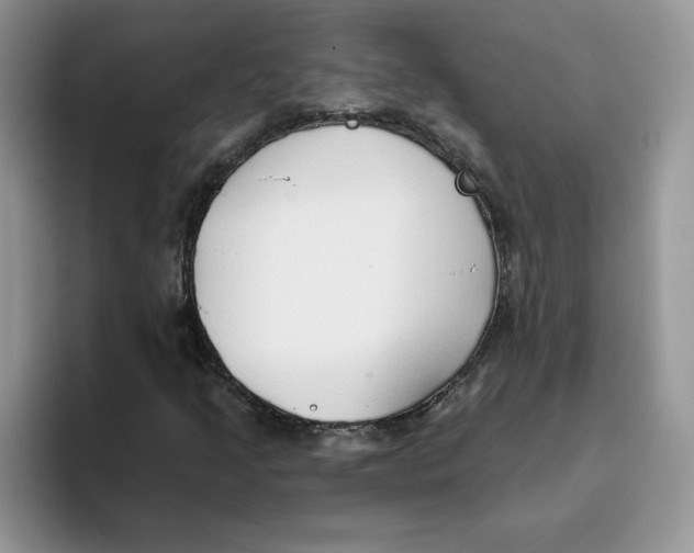 X0000093501205200711091657