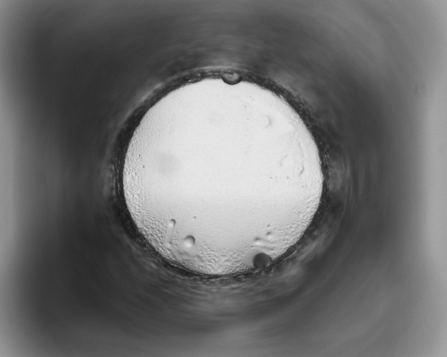 X0000093501208200711091657