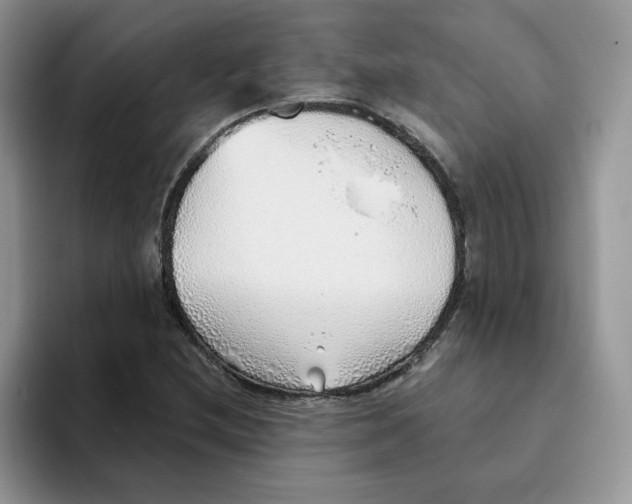 X0000093501212200711091657