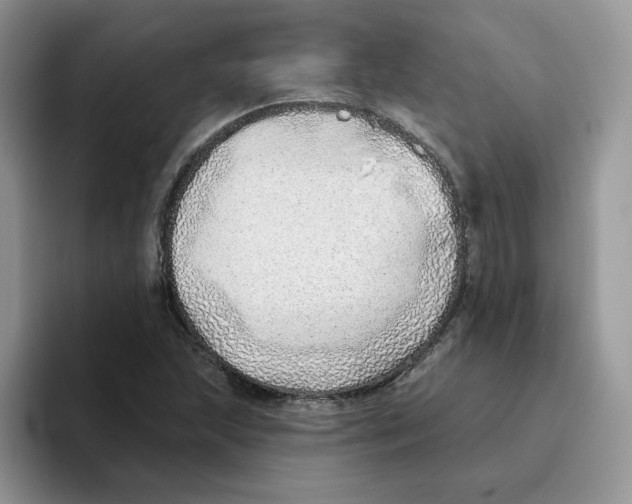 X0000093501215200711091657